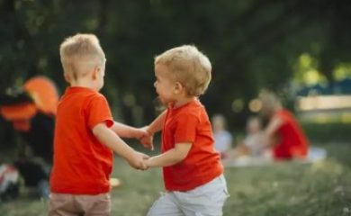 A Ludicidade e a Pedagogia do Brincar