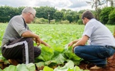 Assistência Técnica e Extensão Rural