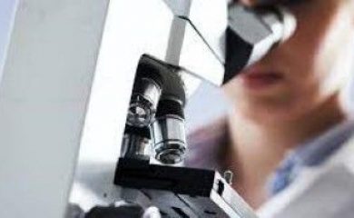 Citologia, histologia e genética