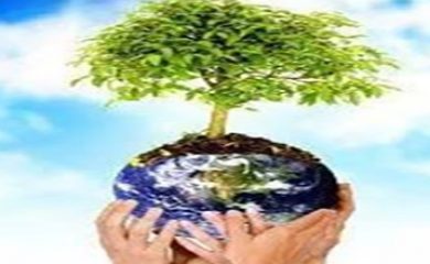 Fundamentos e metodologias do ensino em ciências da natureza