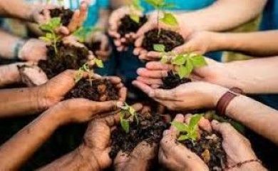 Gestão de recursos ambientais