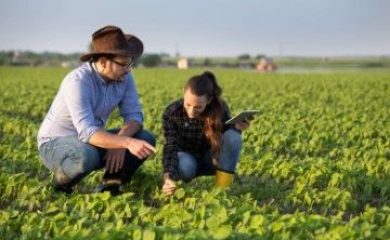 Introdução à Agronomia e ao Agronegócio