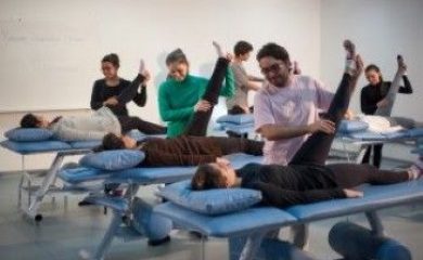 Introdução à Profissão Fisioterapia