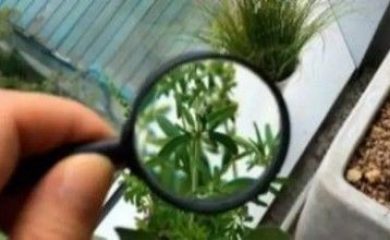 Microbiologia Ambiental