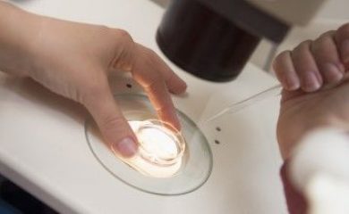 Embryologist adding sperm to egg in laboratory