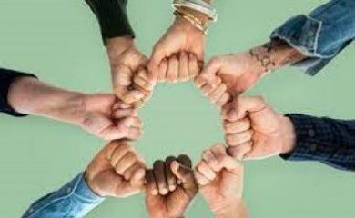 Políticas Setoriais II