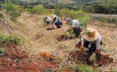 Recuperação de Áreas Degradadas