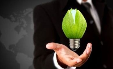 Sustentabilidade em Negócios