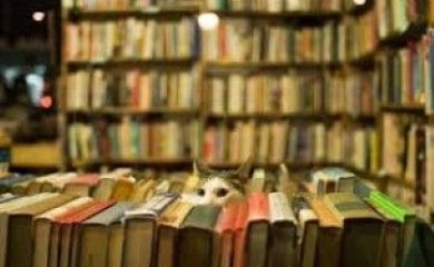 Teoria e Gêneros literários