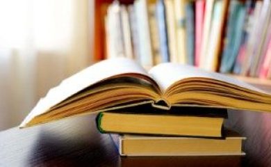 Teorias Críticas da Literatura
